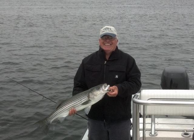 Merrimack River striper, Newburyport MA